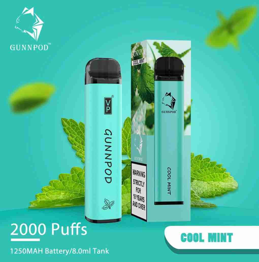 Cool Mint-2000 Puffs